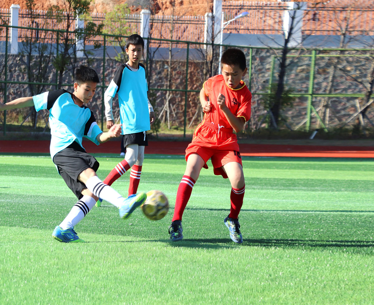 半岛·体育中国官方网校园足球